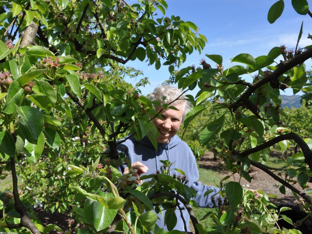 អត្ថប្រយោជន៍នៃការអភិវឌ្ឍស្លតក្នុងវិស័យវ៉ាងវ័យ