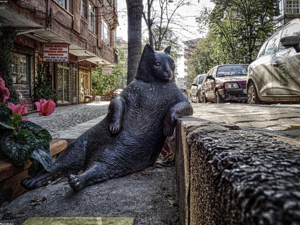 ដំណោះស្រាយថ្មីសម្រាប់ព័ត៌មានស្លត